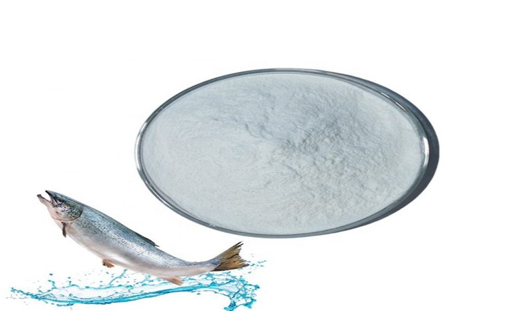 Fish collagen is good to our body