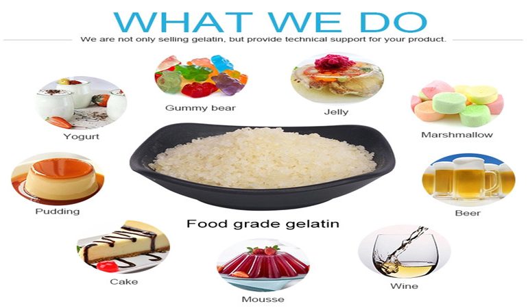 gelatin in food application