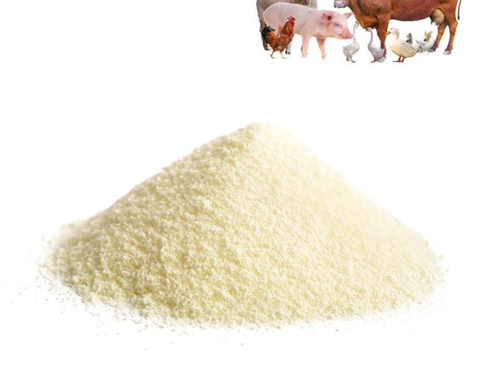 peptone