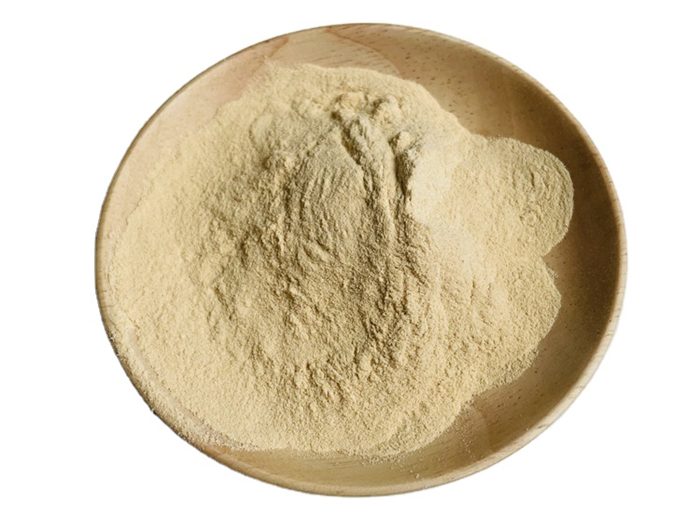 Peptone for Fermentation