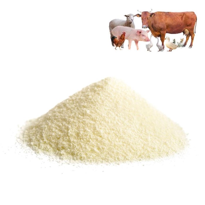 peptone_manufacturer_wholesale