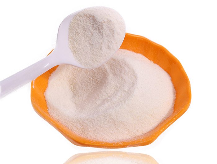 Industrial protein for bacterial culture