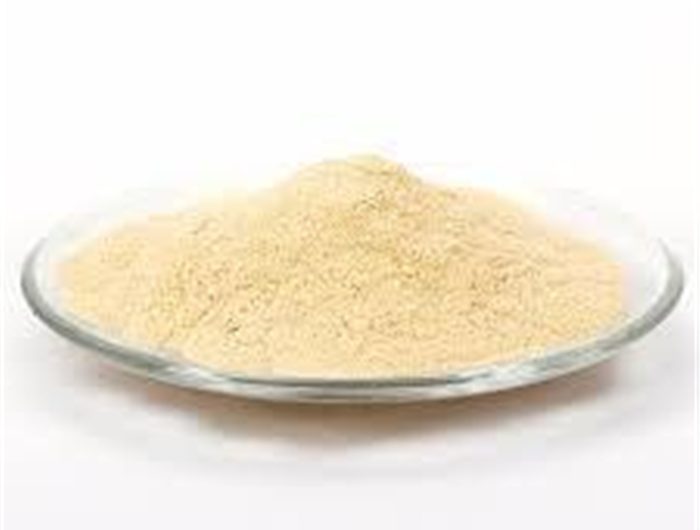 peptone for culture medium