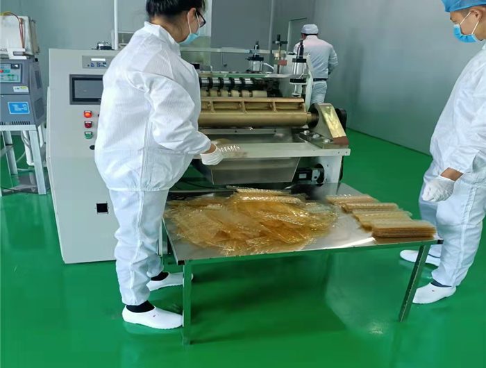 Low_price_leaf_gelatin_machinery_supplier