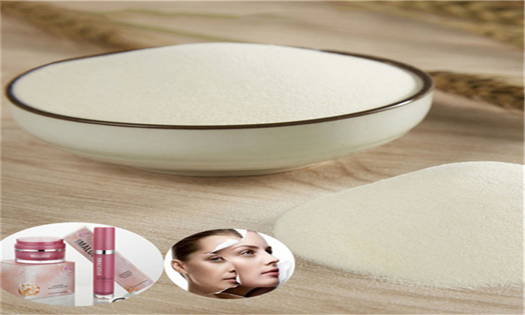 Pure_beauty_collagen_supplier