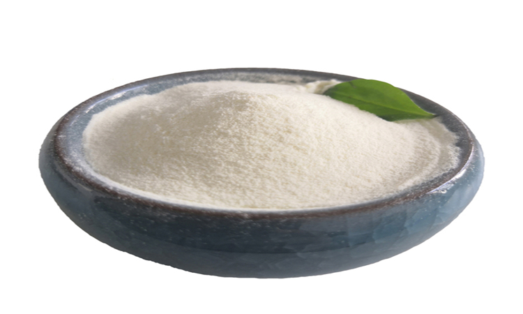 Collagen protein manufacturer