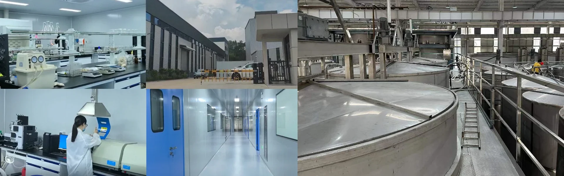 gelatin-manufacturer-china